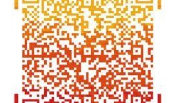 胶州最新爆料新闻视频播放,视频揭秘惊人真相，引发社会关注