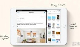 迷你公司爆料视频大全最新,揭秘幕后故事与精彩瞬间