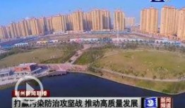 荆州爆料最新消息今天,揭秘今日重大事件真相！