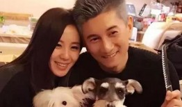 娱乐圈八卦最新爆料王大发,娱乐圈最新爆料揭秘